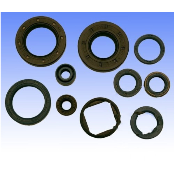 Simmering Wellendichtring Satz Athena P400220400125 passend für Cagiva Mito 7-Gang 125  1991, 31 PS, 23 kw