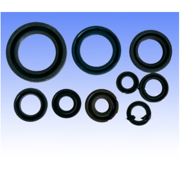 Engine oil seal kit P400210400126_1