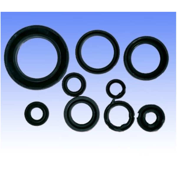 Engine oil seal kit P400210400250_1