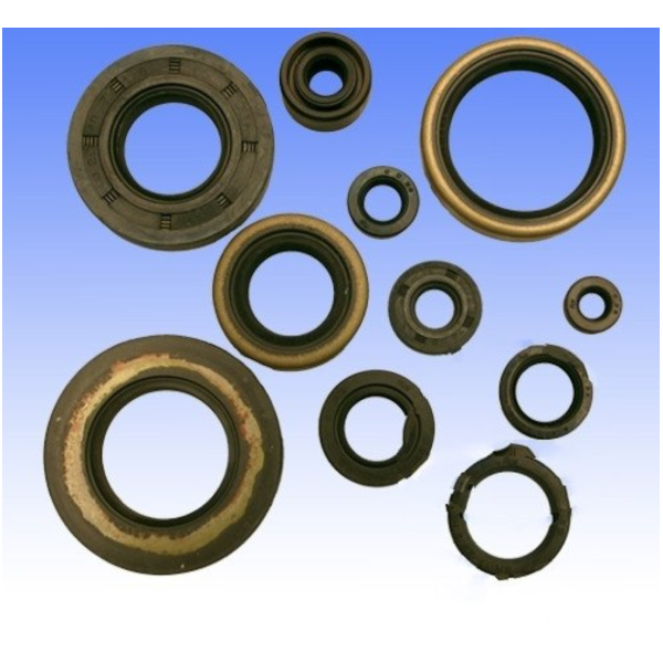 Engine oil seal kit P400250400256_1
