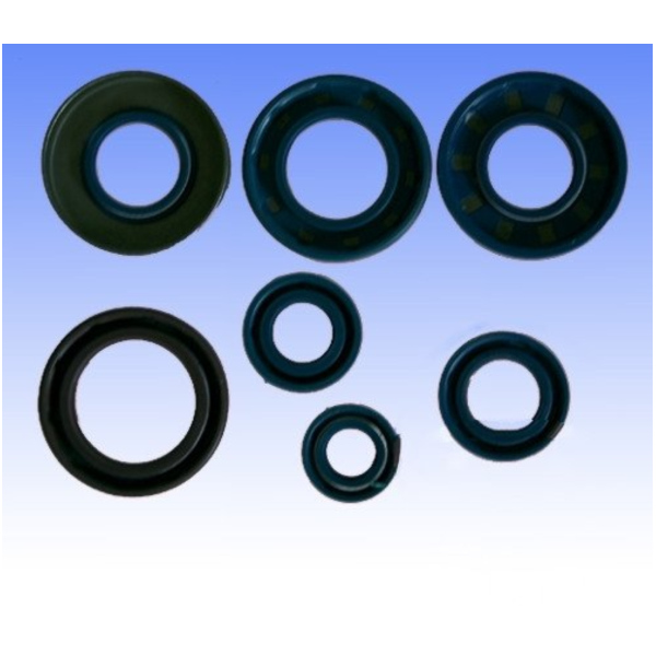 Engine oil seal kit P4001304002041_1