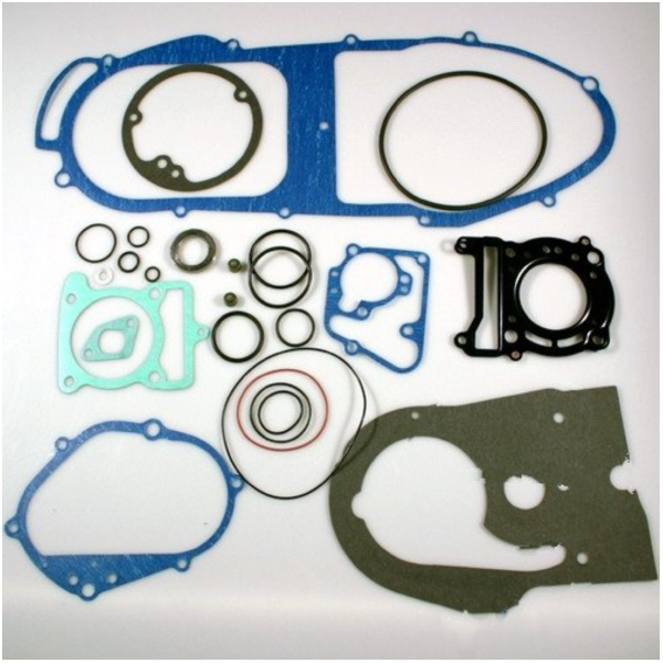 Complete gasket / seal kit P400485850117_1