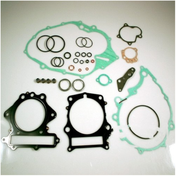 Complete gasket / seal kit P400485850032_1