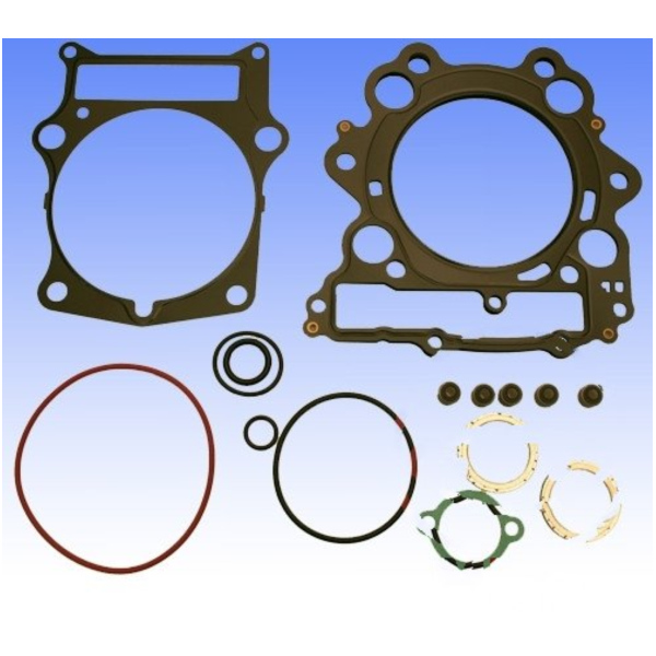 Gasket set topend P400485600041_1