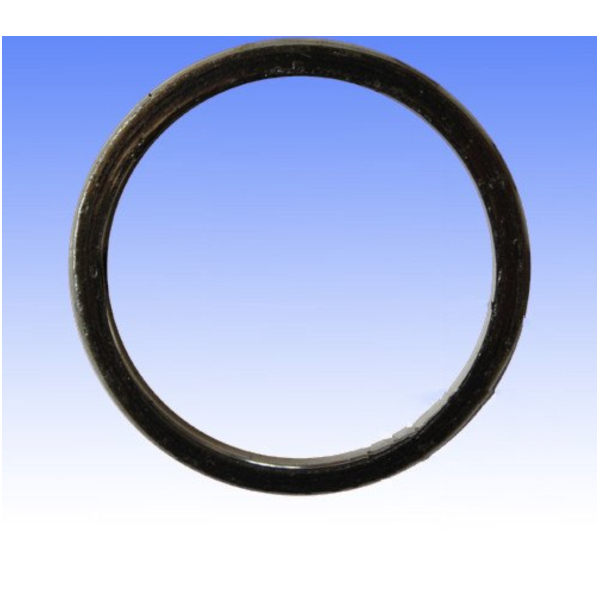 Exhaust gasket S410510012003_1