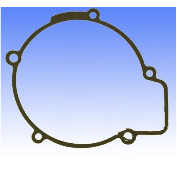Generator cover gasket S410250017015_1