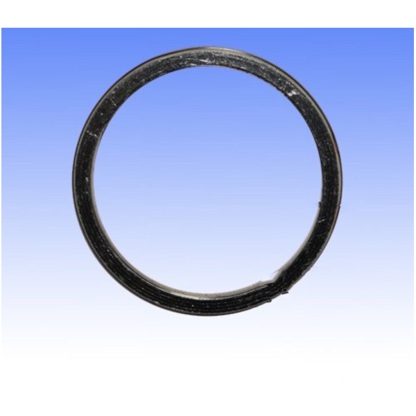 Exhaust gasket S410510012006_1