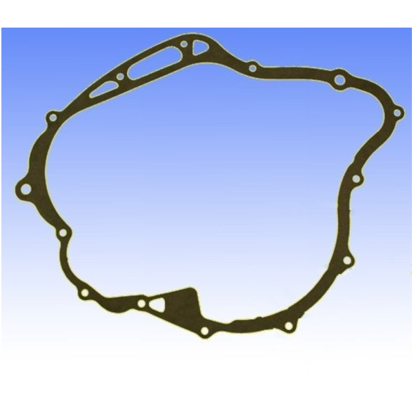 Generator cover gasket S410485016002_1