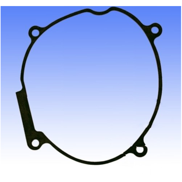 Generator cover gasket S410210149021_1
