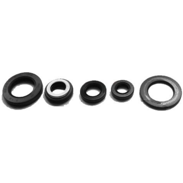 Engine oil seal kit OSL224