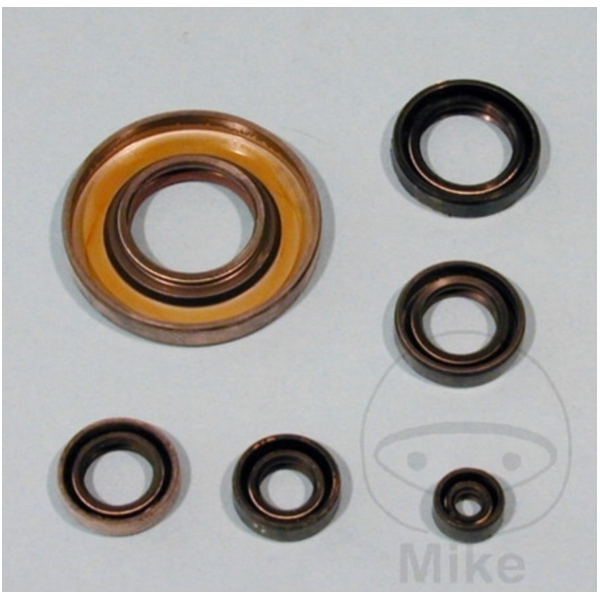 Engine oil seal kit OSL102