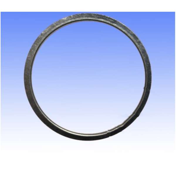 Exhaust gasket S410310012004_1