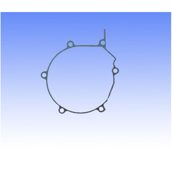 Generator cover gasket S410250017024_1
