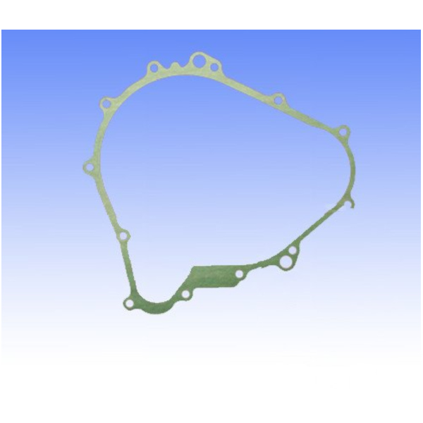 Generator cover gasket S410485149018_1