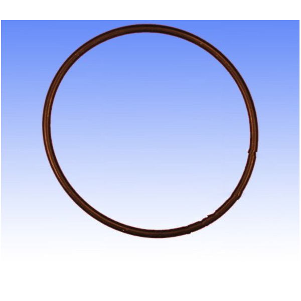 Ventildeckeldichtung O-Ring Athena_1