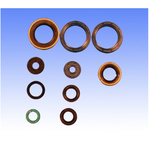 Engine oil seal kit P400250400016_1