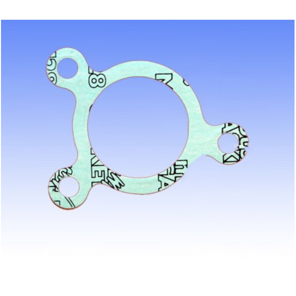 Clutch cylinder gasket