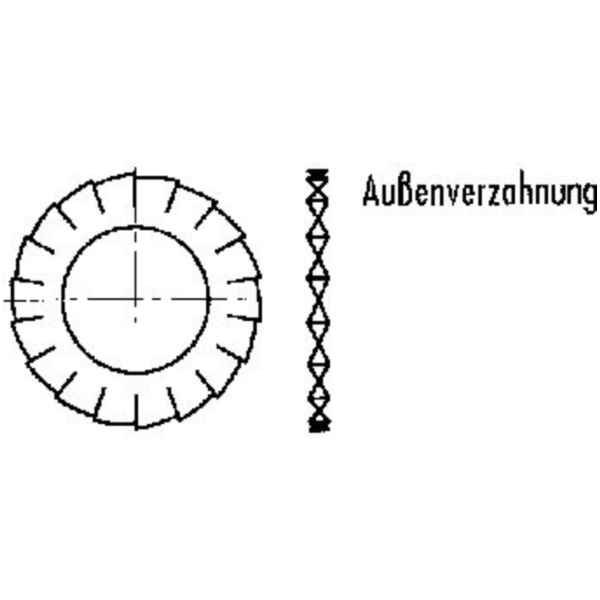 Fächerscheibe verzinkt M6 6798A