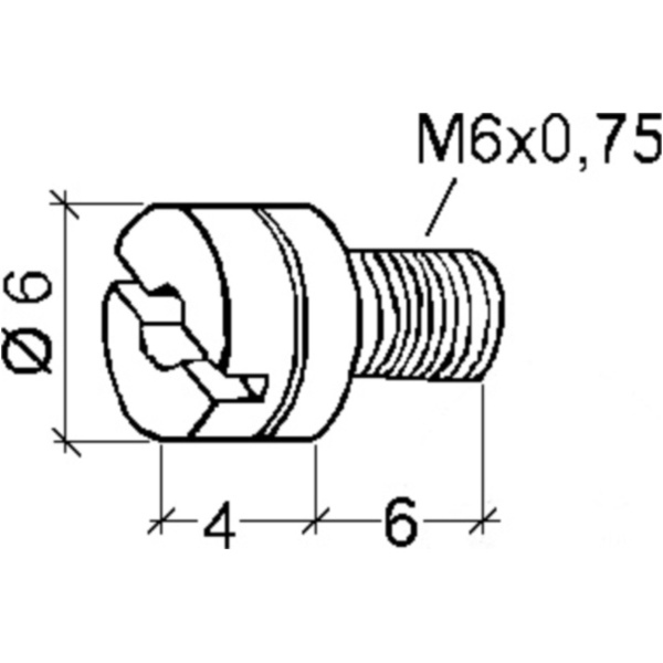 Hauptdüse M6 155 Dellorto_2
