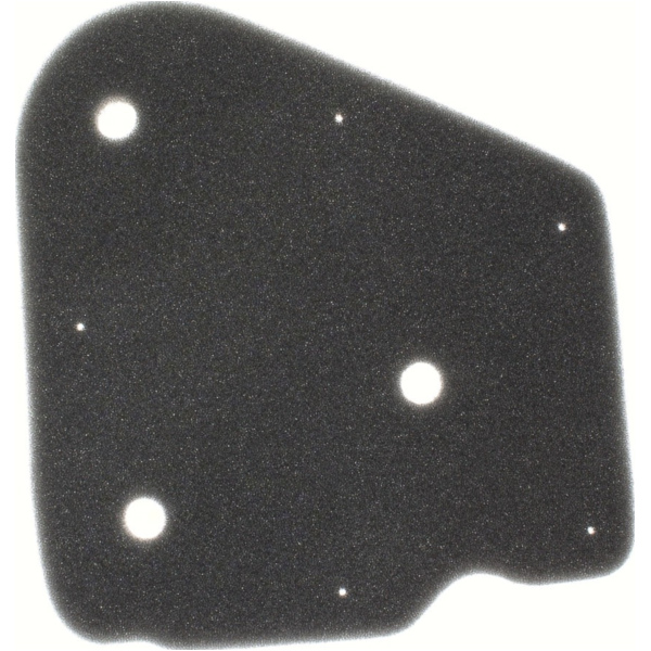 Luftfilter 100600030