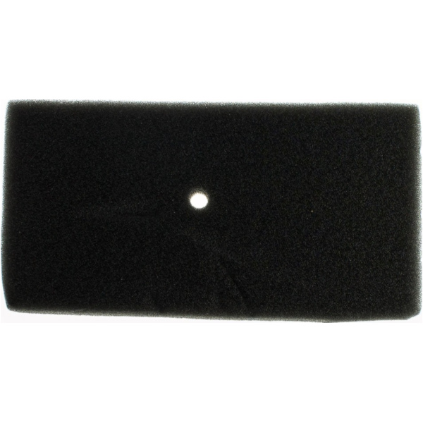 Air filter 100600140