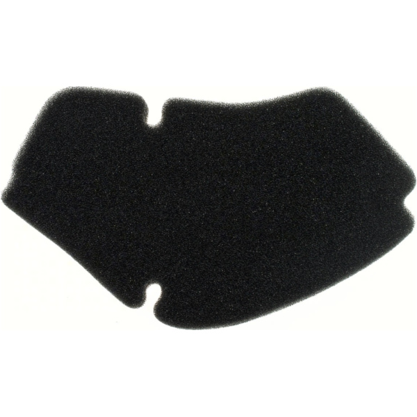 Air filter 100600440