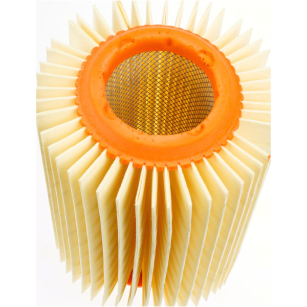 Air filter 100600630