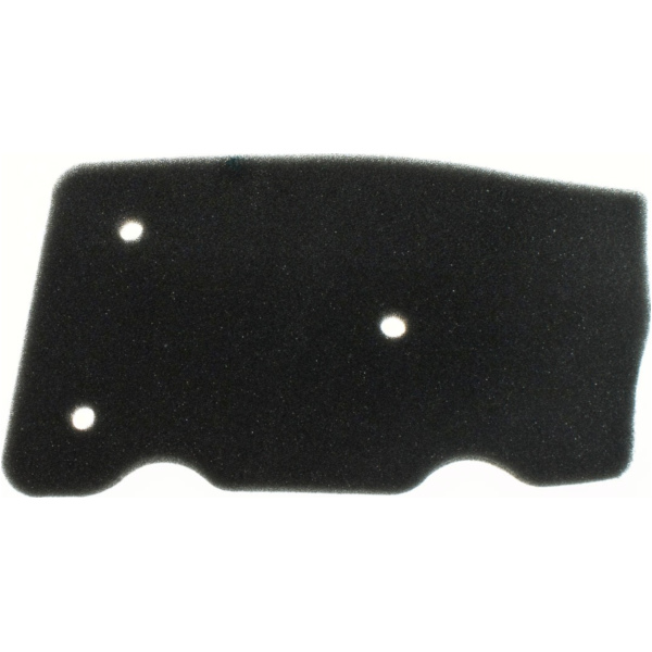 Air filter 100600830