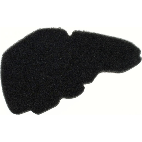 Air filter 100600980