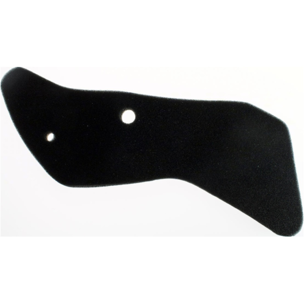 Air filter 100601210