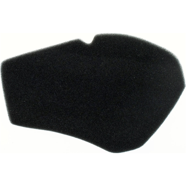 Air filter 100601230
