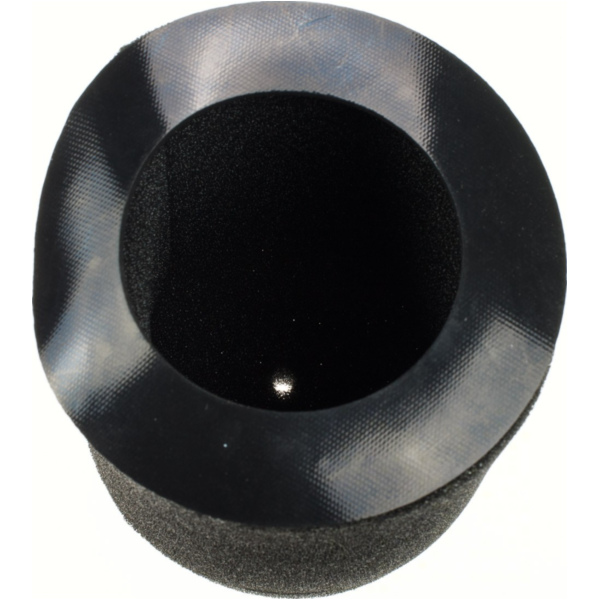 Air filter 100601250
