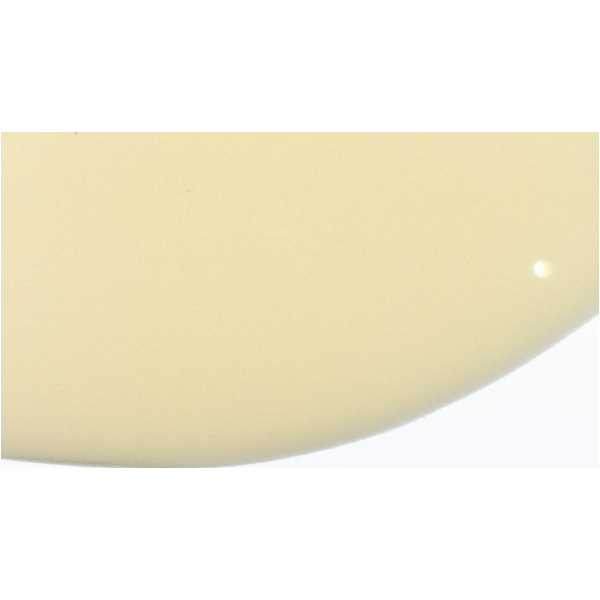 Air filter 100601260