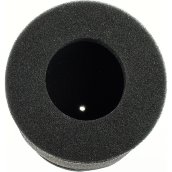 Luftfilter 100601290