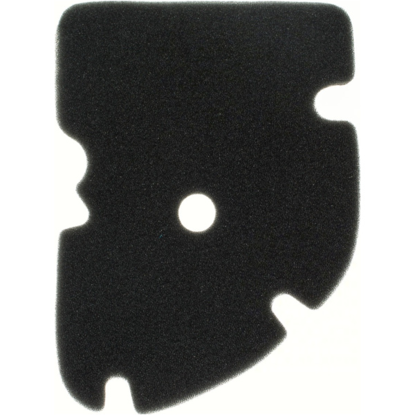 Air filter 100602110