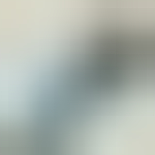 Air filter 100602120