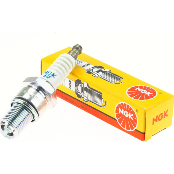 Spark plug, BR9ECS