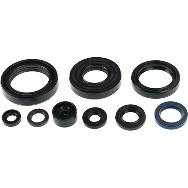 Centauro oil seal set / 666A310SR fitting for Honda CRE  250 ME03 1997, 