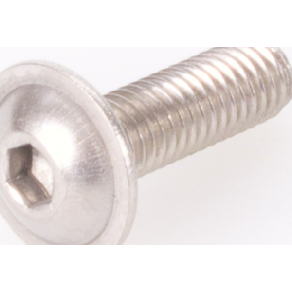 Screw (M5x16) fitting for Aprilia SR Racing 50 RLA10 2001, 3,5 PS, 2,5 kw