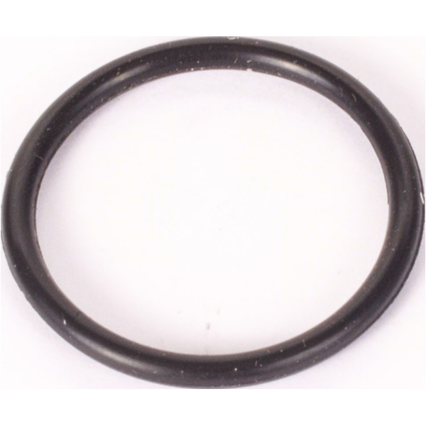 Dichtung O-Ring für Ansaugspacer für 139QMB/QMA