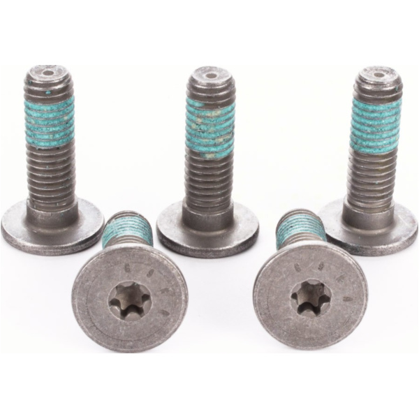 Bremsscheibenschrauben vorne MSS 116-5 M8x1,25 Länge 27mm (5 Stk.) Linsenkopfschrauben für BMW Modlle