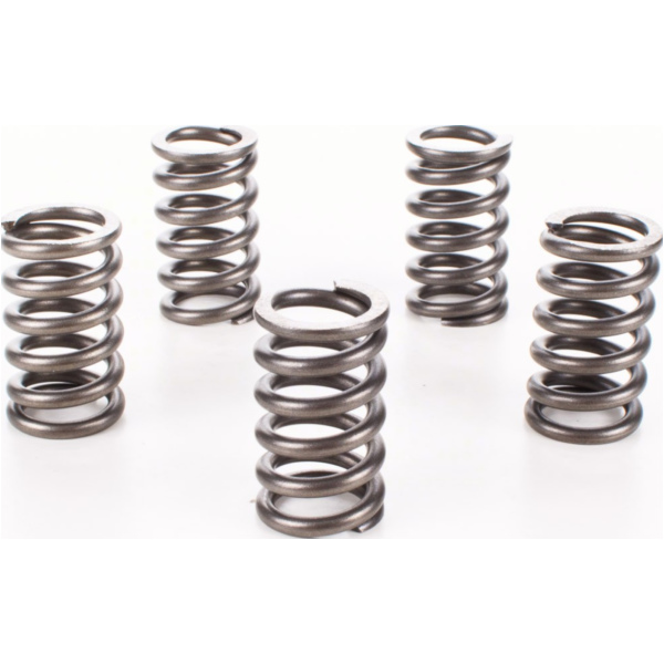 Clutch springs CSK078 for Suzuki TL 1000 S ´97/´98