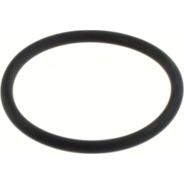 Centauro, O-ring / W311270QR