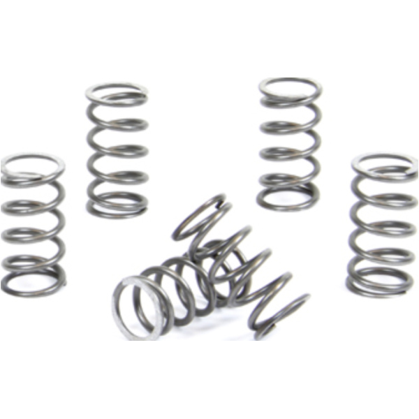 Kupplungsfedern Set für KX60/65 '83-20 + RM65 '03-05