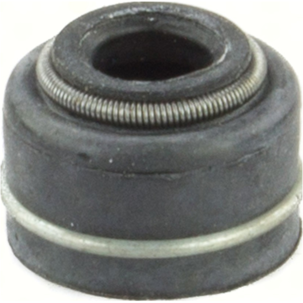 Dichtung Ventilschaftdichtungen 10 Stück (Vergl. Nr. 12209-429-005)