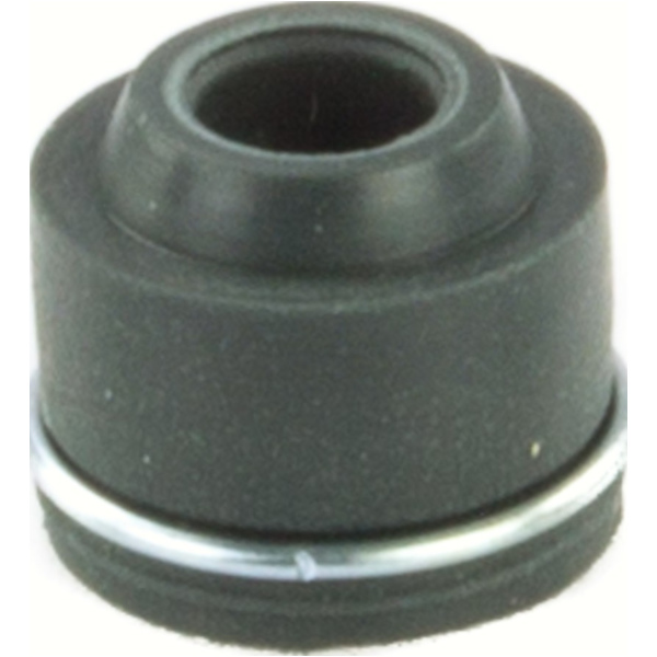 valve body seal 10 pc 198007