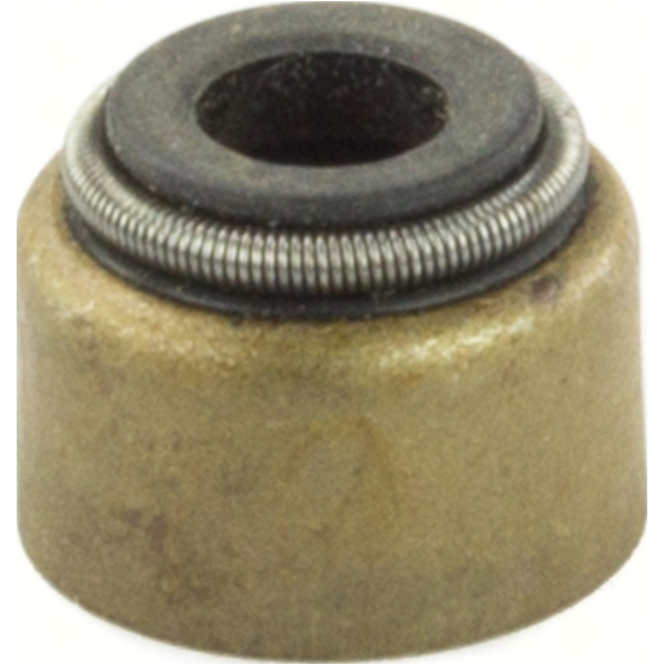 Dichtung Ventilschaftdichtungen 10 Stück 198011 passend für Yamaha XTZ Tenere 660 3YF 1994, 48 PS, 35 kw