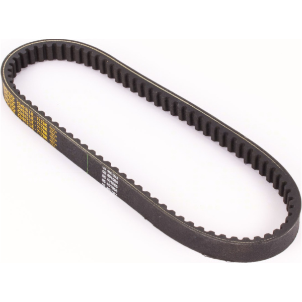 Antriebriemen, Zahnriemen L815xB22,0 Power Plus Keilriemen Aramid verstärkt