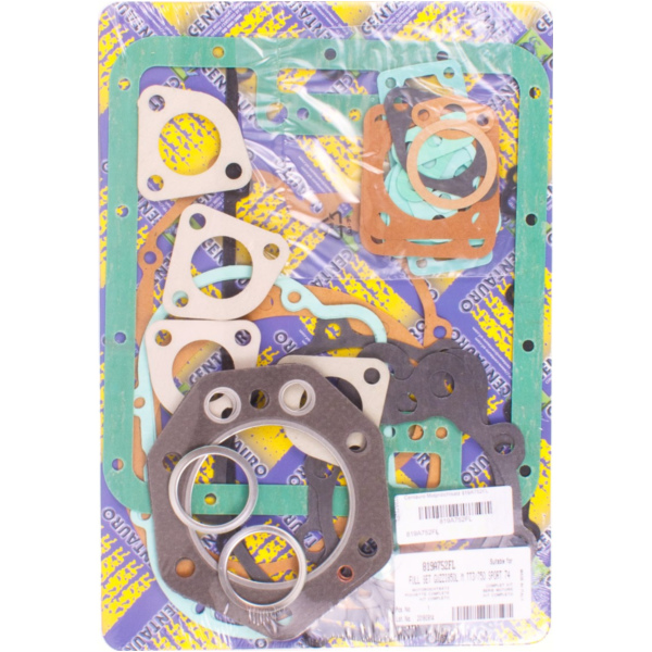 Full gaskets set 819A752FL