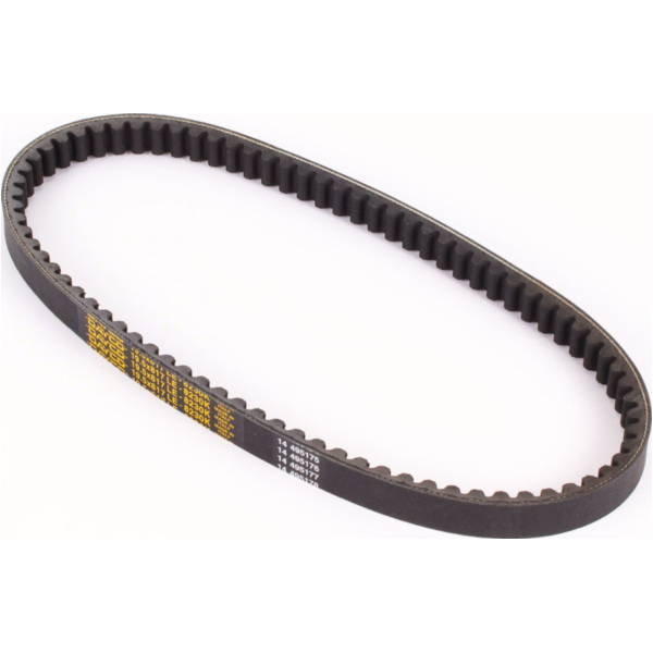 Antriebriemen, Zahnriemen L817xB19,5 Power Plus Keilriemen Aramid verstärkt